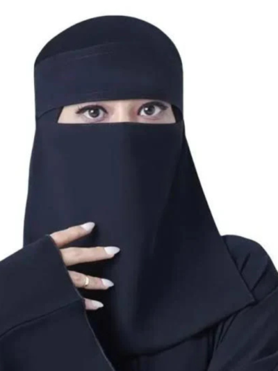 Saudi Naqab